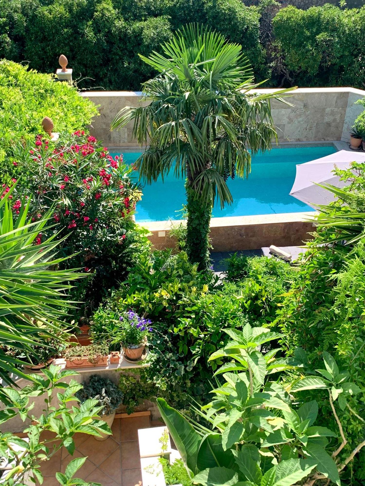Luxury Pool Central Makarska Apartment By Maryn Exterior foto